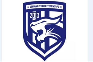 pg电子移动版-武汉足管中心主任：武汉三镇正推进股改事宜，已做好净资调查工作